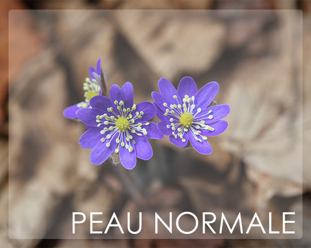 PEAU NORMALE