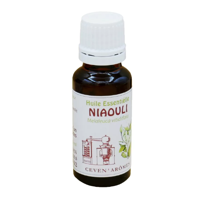 Huile essentielle niaouli 20ml - ceven'aromes